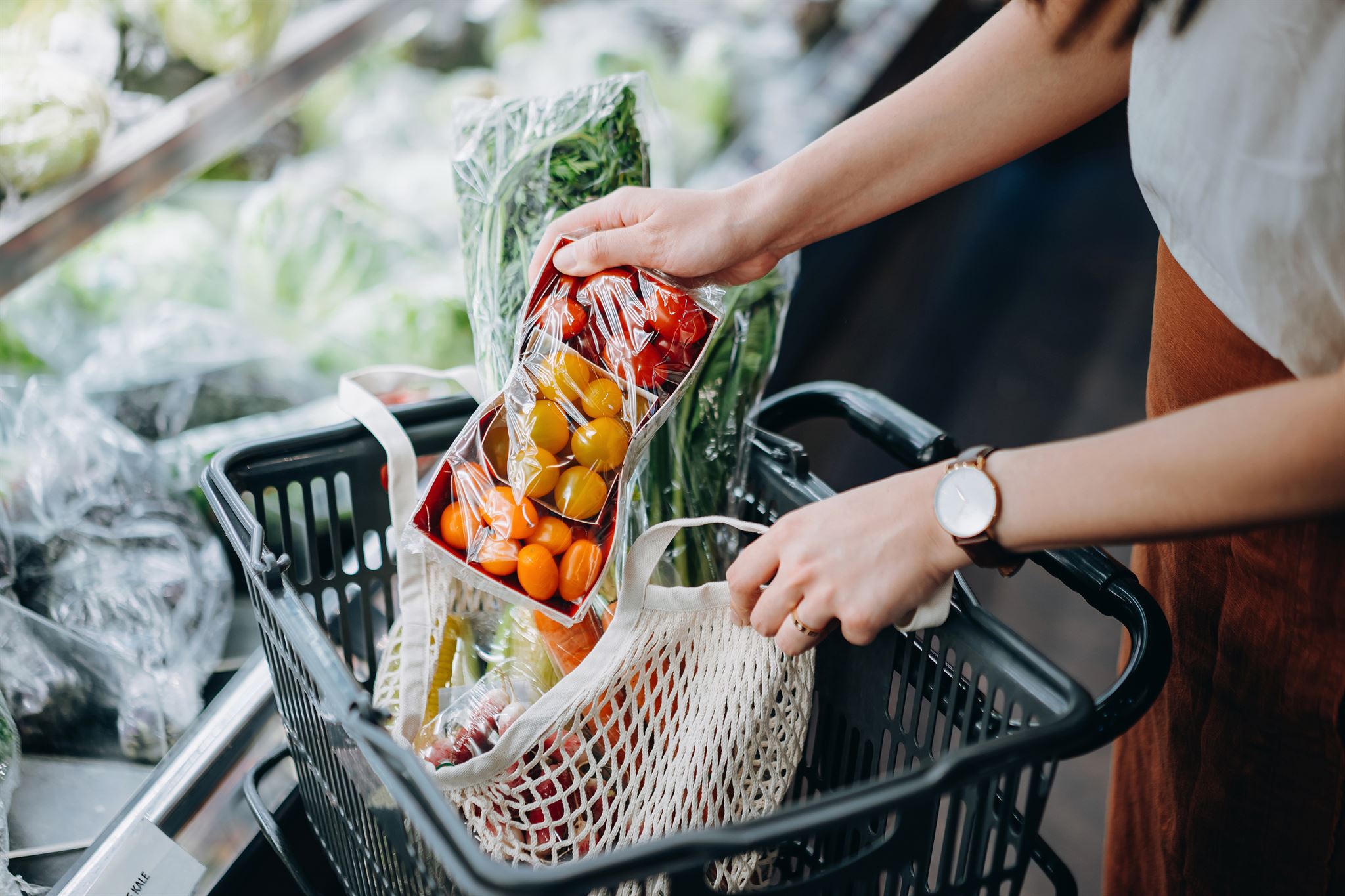 Shopping cart with various products